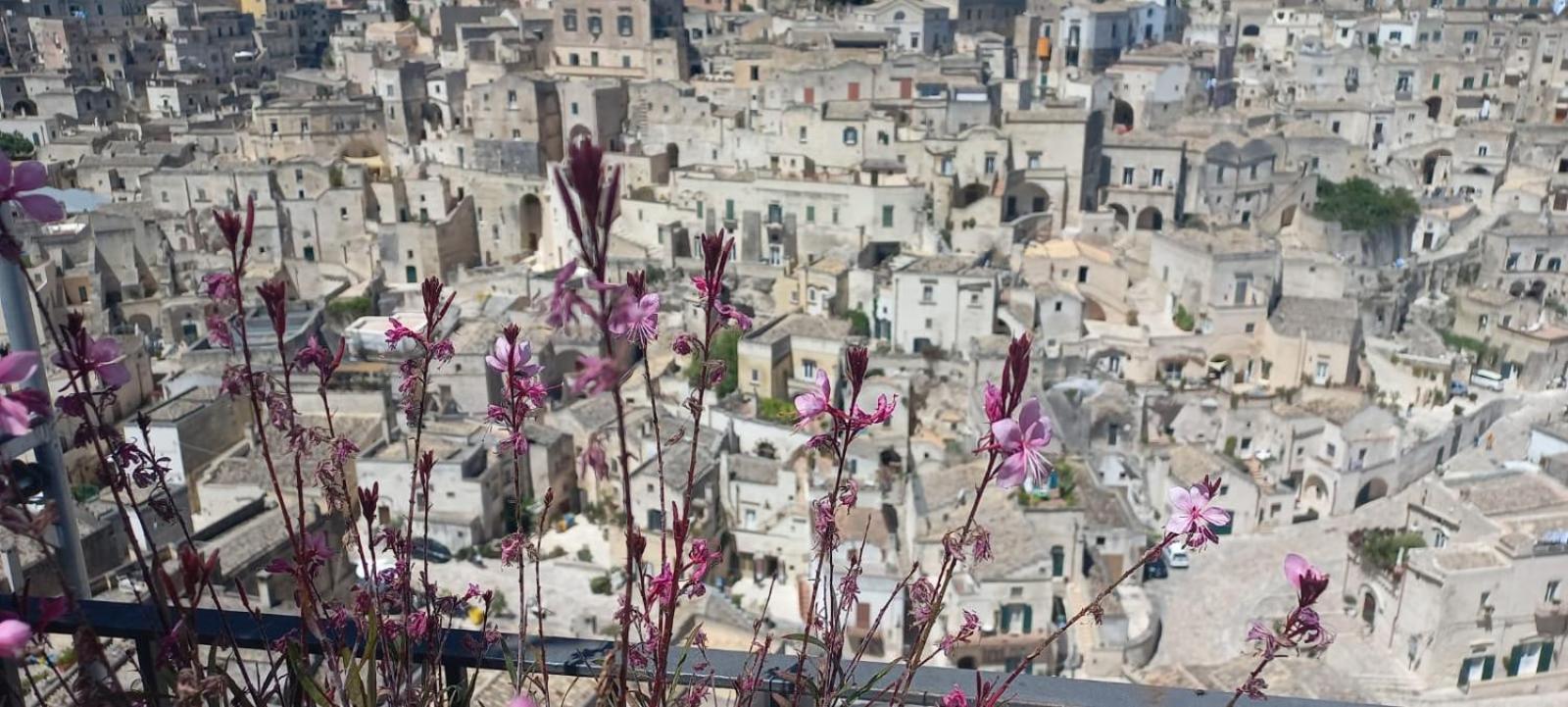 La Regina Historic House Apartment Matera Bagian luar foto